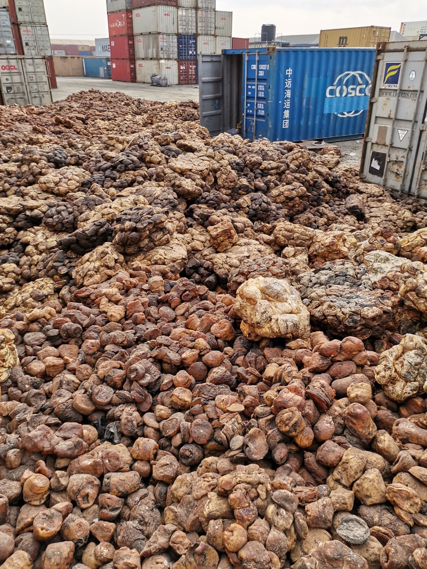Rubber Cup Lump with 72% DRC Available For Sale